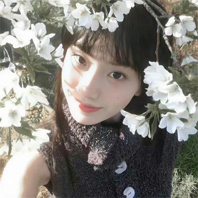 黑帮掌门人